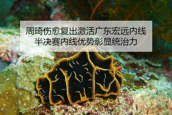 zhou-qi-shang-yu-fu-chu-ji-huo-guang-dong-hong-yuan-nei-xian-ban-jue-sai-nei-xian-you-shi-zhang-xian-tong-zhi-li-3-490.jpg